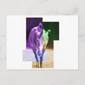 Carte Postale Rainbow Zebra (Devant)
