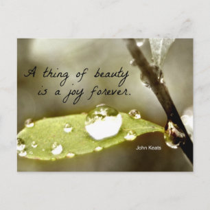 Carte Postale Raindrop sur la feuille, avec une citation : "Une