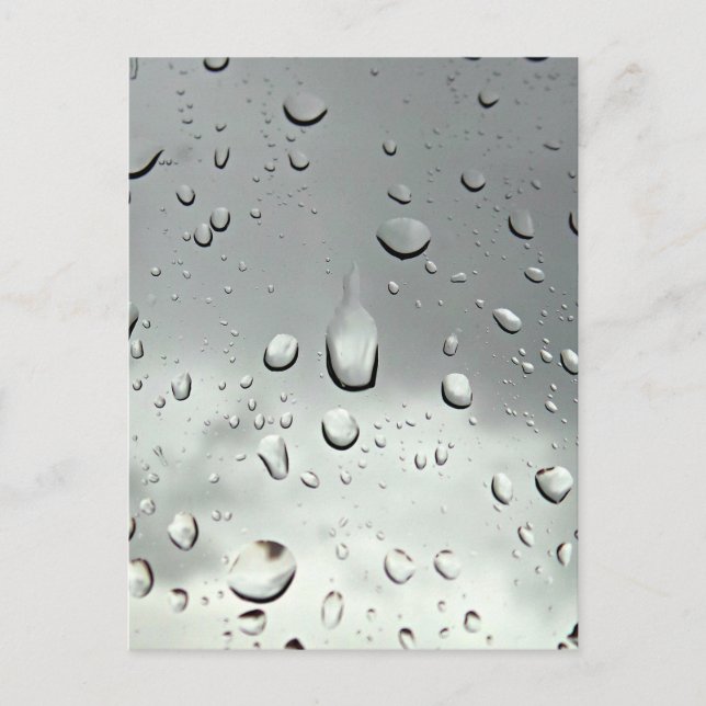 Carte Postale Raindrops Photography (Devant)
