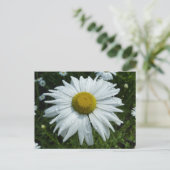 Carte Postale Raindrops sur Daisy II Floral Fleur sauvage (Debout devant)
