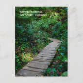 Carte postale Rainforest Boardwalk (Devant)