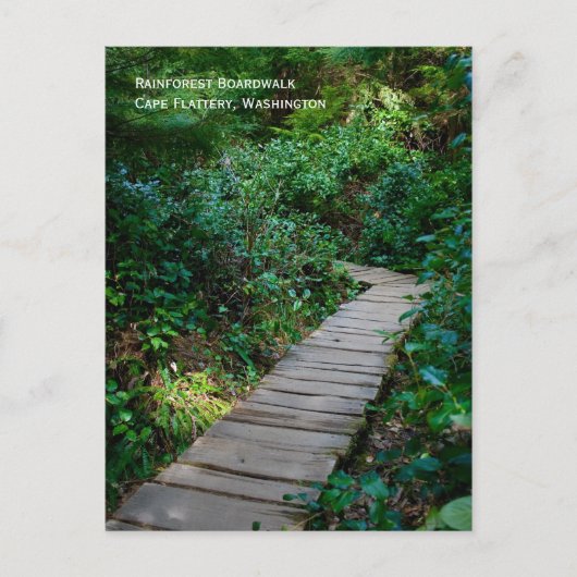 Carte postale Rainforest Boardwalk (Devant)