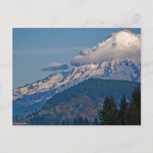 Carte Postale Rainier P5002 (Devant)