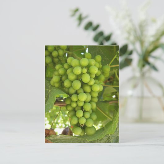 Carte Postale Raisins (Debout devant)