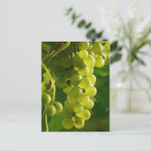 Carte Postale Raisins (Debout devant)