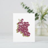 Carte Postale Raisins (Debout devant)