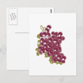 Carte Postale Raisins (Devant / Derrière)