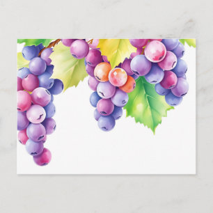 Carte Postale Raisins aquarelle sur fond blanc propre