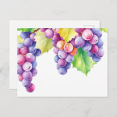 Carte Postale Raisins aquarelle sur fond blanc propre (Devant / Derrière)