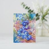 Carte Postale Raisins bleus (Debout devant)