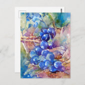 Carte Postale Raisins bleus (Devant / Derrière)