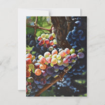 Raisins d'abondance pour les amateurs de vin et le