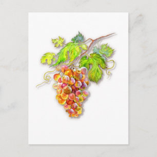 Carte Postale Raisins Dorés Roses – Aquarelle Botanique