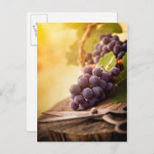 Carte Postale Raisins fraîchement récoltés (Devant / Derrière)