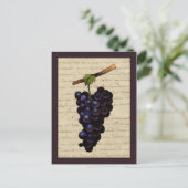 Carte Postale Raisins noirs vintages (Debout devant)