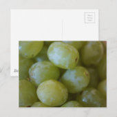 Carte Postale Raisins verts (Devant / Derrière)