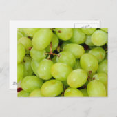 Carte Postale Raisins verts (Devant / Derrière)
