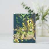 Carte Postale Raisins vintages (Debout devant)