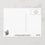 Carte Postale raleigh cn (Dos)