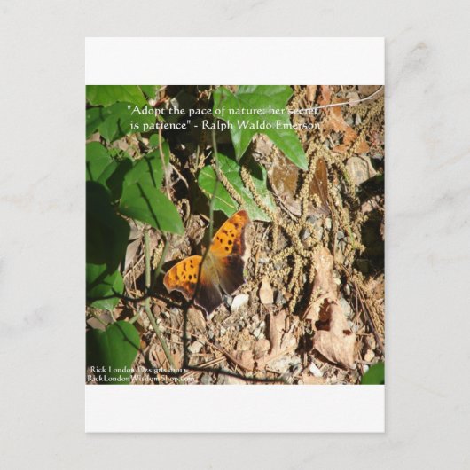 Carte Postale Ralph W Emerson "Pace Of Nature" Citation De Sages (Devant)
