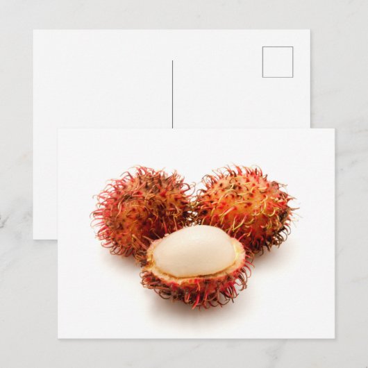 Carte Postale Rambutan (Devant / Derrière)