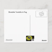Carte Postale Rameaux de ronce dans le brouillard - Minimalisme (Dos)