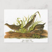 Carte Postale Rampe commune (Devant)