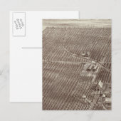 Carte Postale Ranch de fruits de Chapin (Devant / Derrière)