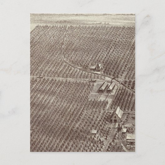Carte Postale Ranch de fruits de Chapin (Devant)