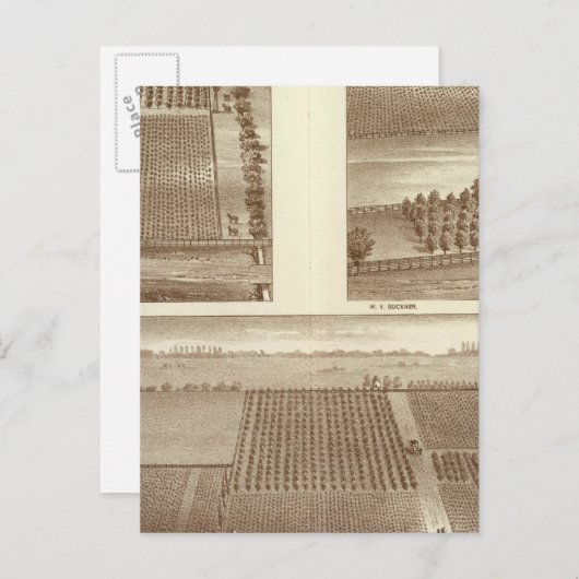 Carte Postale ranch de Lemoore (Devant / Derrière)