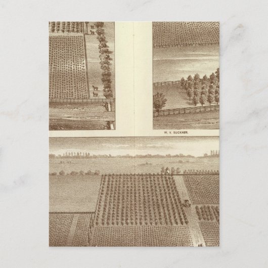 Carte Postale ranch de Lemoore (Devant)