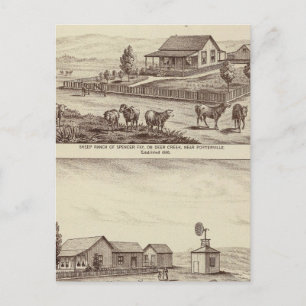 Carte Postale ranch de moutons de Deer Creek