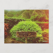 Carte Postale Ranch Kualoa (Dos)