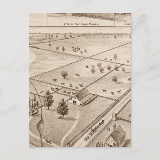 Carte Postale Ranch Oakdale (Devant)