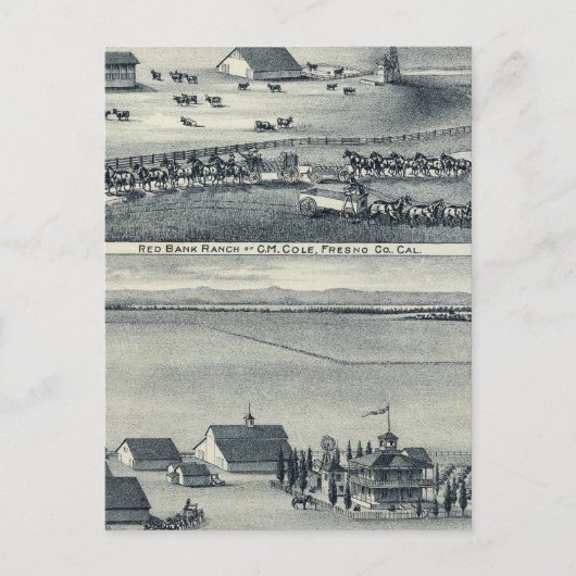 Carte Postale Ranches Cole (Devant)