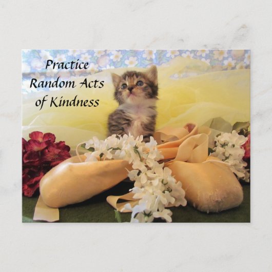 Carte postale Random Act - Ballerina Cat (Devant)