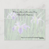 Carte postale Random Act de la gentillesse - Iris  (Dos)