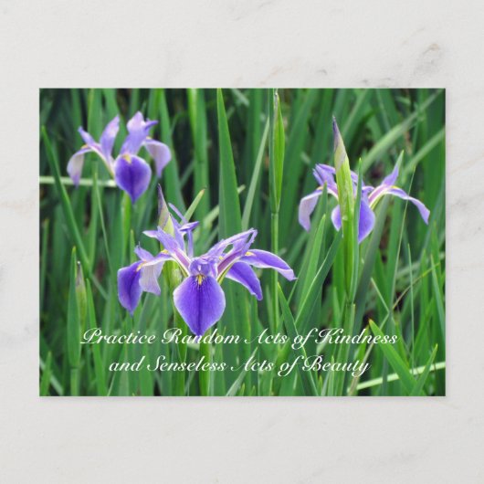 Carte postale Random Act de la gentillesse - Iris  (Devant)