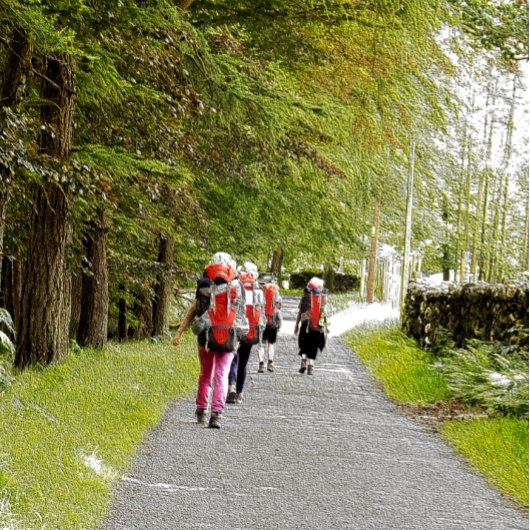 CARTE POSTALE RANDONNÉE