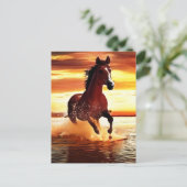 Carte Postale Randonnée À Cheval Sauvage À Travers Le Surf (Debout devant)