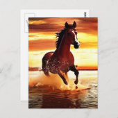 Carte Postale Randonnée À Cheval Sauvage À Travers Le Surf (Devant / Derrière)