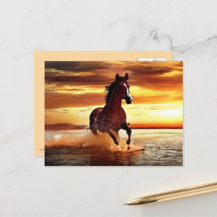 Carte Postale Randonnée À Cheval Sauvage À Travers Le Surf