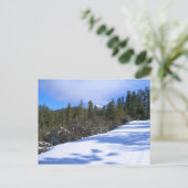 Carte Postale Randonnée à Hager Mountain Fire Loout (Debout devant)