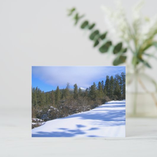 Carte Postale Randonnée à Hager Mountain Fire Loout (Debout devant)