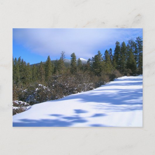 Carte Postale Randonnée à Hager Mountain Fire Loout (Devant)