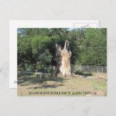 Carte Postale Randonnée à Pleasanton, CA 6 (Devant / Derrière)