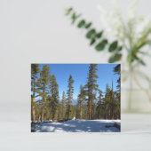 Carte Postale Randonnée de Mitchell Peak à Sequoia (Debout devant)