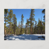 Carte Postale Randonnée de Mitchell Peak à Sequoia (Devant)