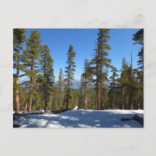 Carte Postale Randonnée de Mitchell Peak à Sequoia (Devant)