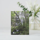 Carte Postale Randonneur admire Falls Branch Falls (Debout devant)